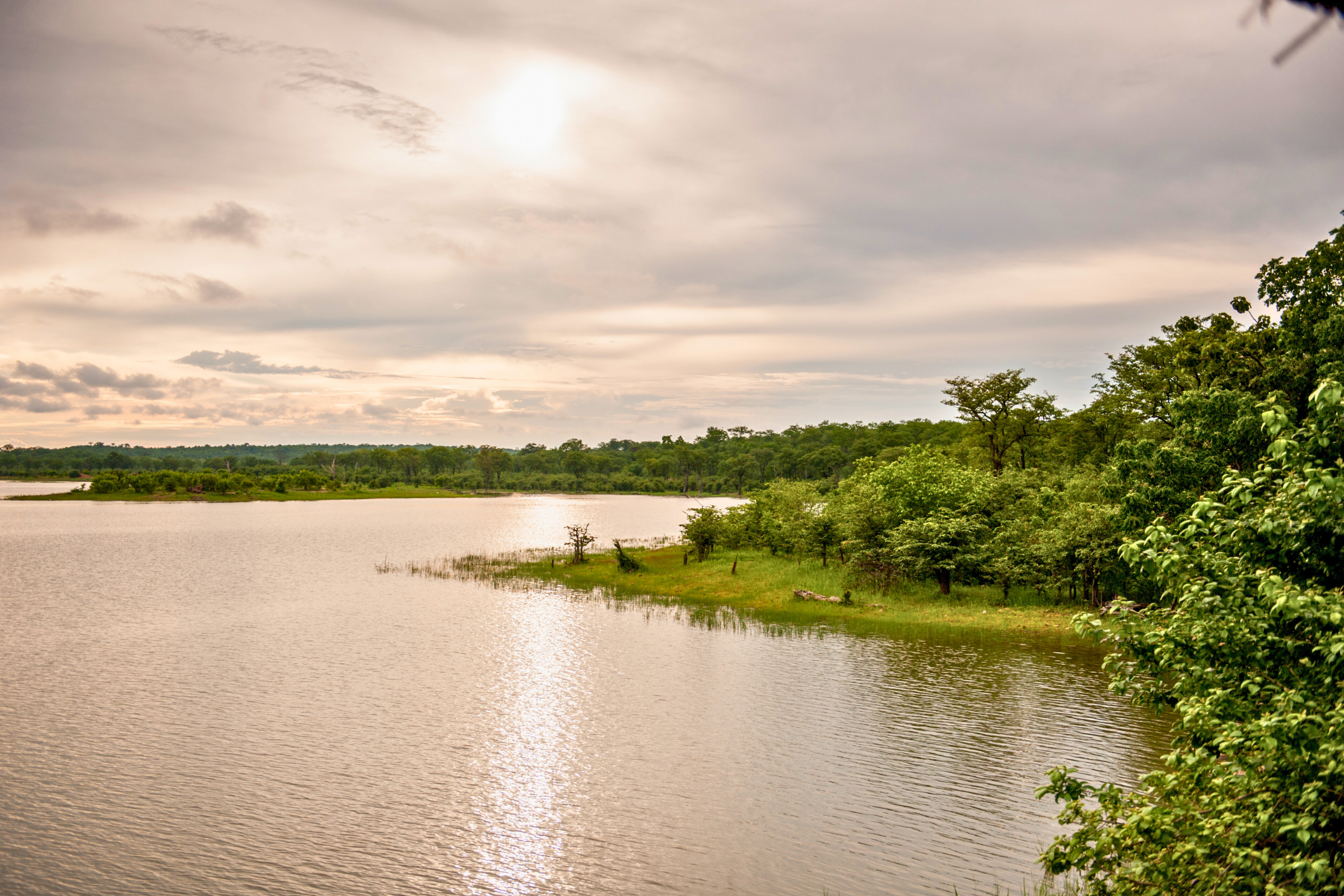 hwange national park (4).webp